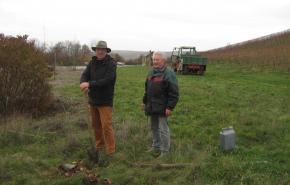 1. Bäume gepflanzt – 2. Laub beseitigt – 3. Abstellbox fertiggestellt