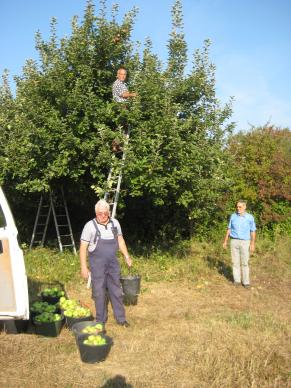 Volontäre für Albig