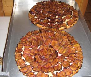 Quetschekuchen satt und saftig