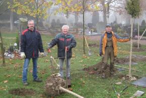 Bäume am Baumgräberfeld ausgetauscht
