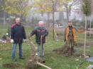 „Volontäre für Albig“ - Bäume am Baumgräberfeld ausgetauscht
