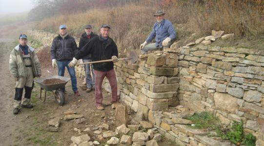 Noch ein bis zwei Arbeitseinsätze und dann ist die Sanierungsmaßnahme „Trockenmauer Ahlenberg“ abgeschlossen.