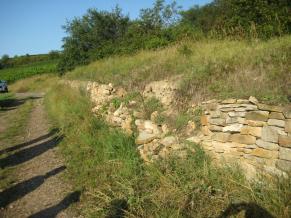 Neuaufbau eines Teilstücks der Trockenmauer in der Gemarkung Ahlenborn