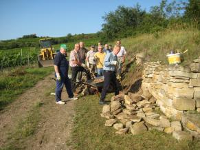 Neuaufbau eines Teilstücks der Trockenmauer in der Gemarkung Ahlenborn