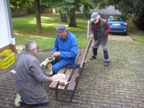 Einsatz für gepflegte Sitzbänke in der Gemeinde