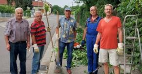 Hecken und Sträucher wurden gestutzt 