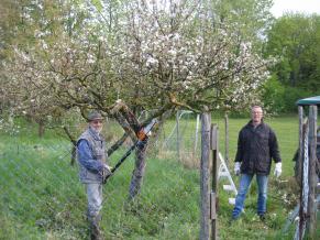 Umfassenden Pflegeaktion rund ums Sportareal am Ortseingang