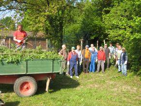 Rückschnitt der Hecken und Abfuhr des Pflanzenmaterials