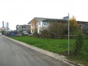 „Volontäre“ stehen vor dem Weihnachtsbaum, zwischen Rathaus und ev. Kirche