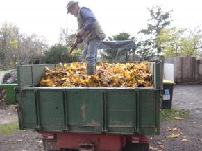 „Volontäre“ stehen vor dem Weihnachtsbaum, zwischen Rathaus und ev. Kirche