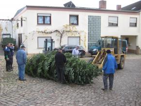 „Volontäre“ stehen vor dem Weihnachtsbaum, zwischen Rathaus und ev. Kirche