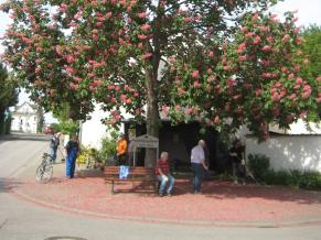 Volontäre für Albig beim Arbeitseinsatz