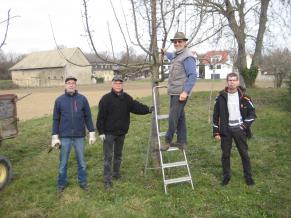 Volontäre beschneiden Obstbäume auf der Streuobstwiese in der Leimenkaute 