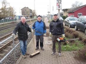 Rückschnitt von Sträuchern