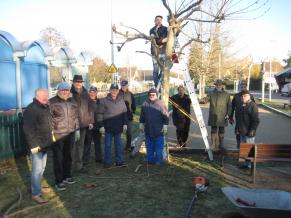 Baumschnittarbeiten der Volontäre