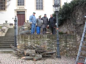 Der abgestorbene Baum am Kirchenaufgang wird gefällt