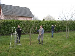 Obstbäume auf der Streuobstwiese „Leimenkaute“ werden geschnitten