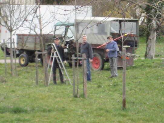 Freiwillige Helfer beschneiden Obstbäume auf der Streuobstwiese Leimenkaute 