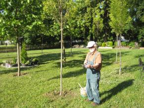 Eine gepflegte Grünanlage