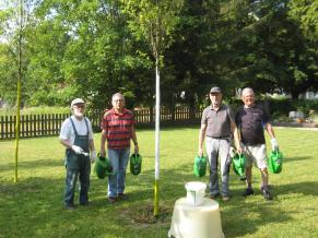 Volontäre gießen einen Baum, welcher mit einem Schutzanstrich versehen wurde