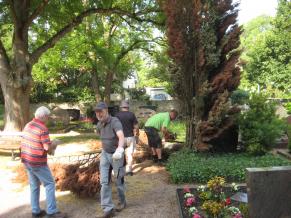 Volontäre bei der Baumpflege auf dem Friedhof