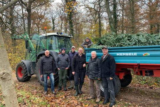 Weihnachtsbäume liegen auf einer Ackerrolle zum Abtransport bereit, davor stehen die Helfer