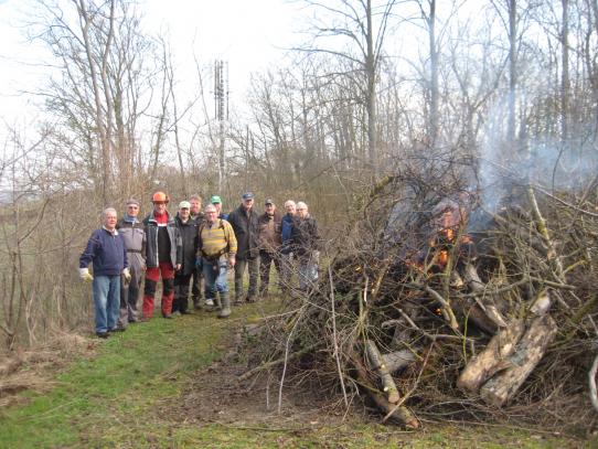 Das Totholz wird verbrannt