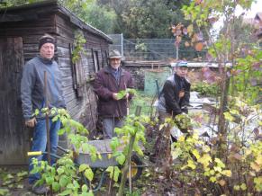 Helfer bei der Pflanzaktion