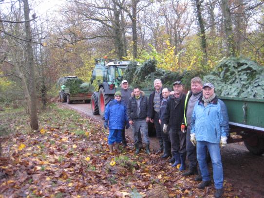 Die Bäume sind transportbereit