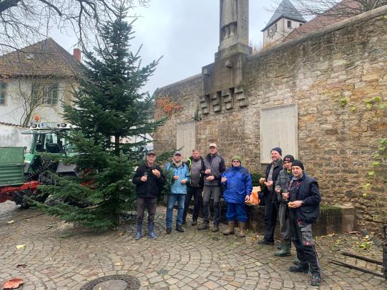 Der Baum steht: Jetzt wird gevespert