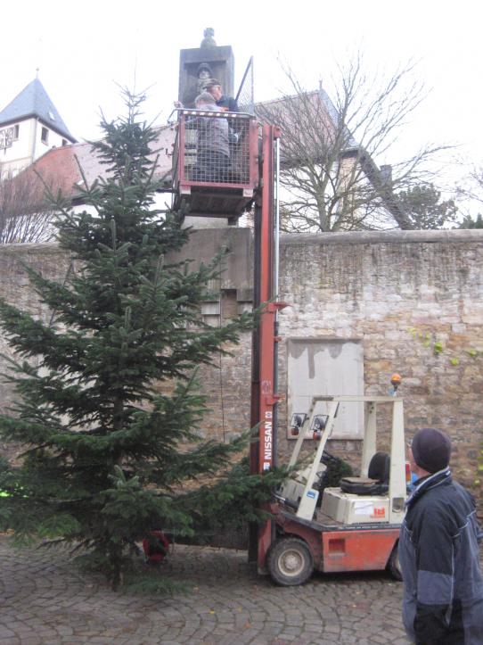 Der Weihnachtsbaum wird von den Volontären geschmückt
