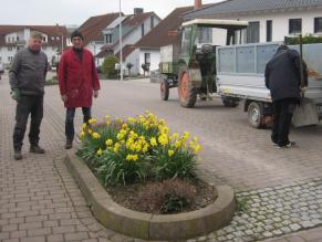 Bepflanzung der Blumenbeete