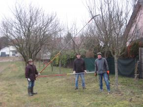 Drei Volontäre arbeiten mit einer Ast-Säge