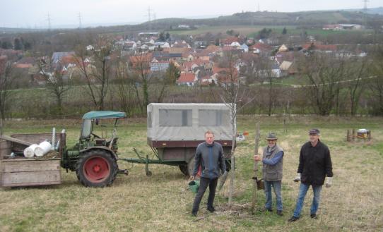 Die Volontäre pflegen die Bäume der Streuobstwiese