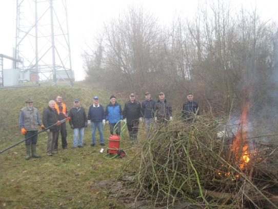 Die Volontäre verbrennen Totholz