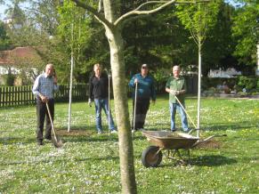 Volontäre beim Anlegen der Baumscheiben