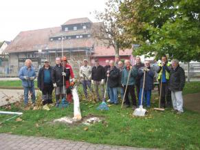 Die Volontäre bei den Baumfällarbeiten