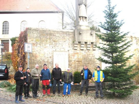 Der Baum für die Gemeinde Albig wurde vor dem Kriegerdenkmal am Rathaus aufgestellt.