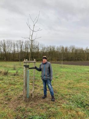 Ein Volontär posiert stolz neben einem frisch gepfanstem Apfelbaum