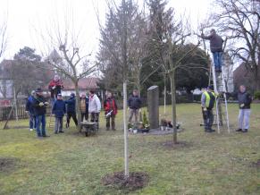 Volontäre kümmern sich um den Rückschnitt der Bäume und Sträucher