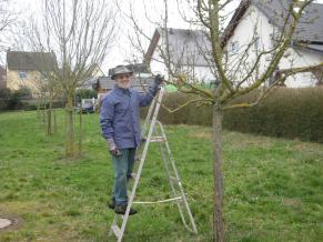 Pflegearbeiten an den Bäumen
