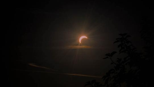 Die verdunkelte Sonne