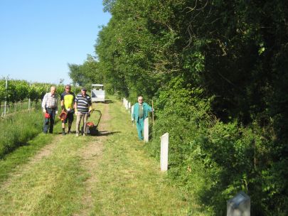 Arbeiten am Weinwanderweg