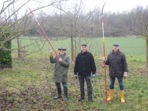 Volontäre beim Rückschnitt